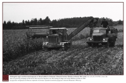 1964 - The corn-growing campaign of the Soviet time arrived at Setomaa, too. Harvesting of silage corn at the Obinitsa sovkhoz in 1964.
Photo: EFA.331.P.0-87098, Armin Alla